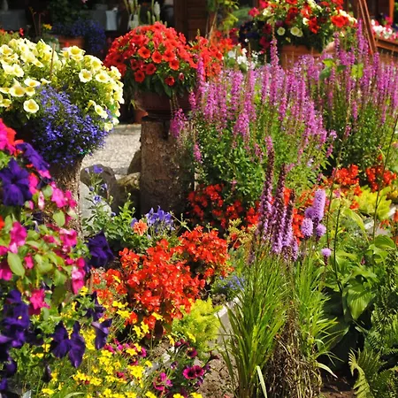 Hotell Ruhekrug Lurschau